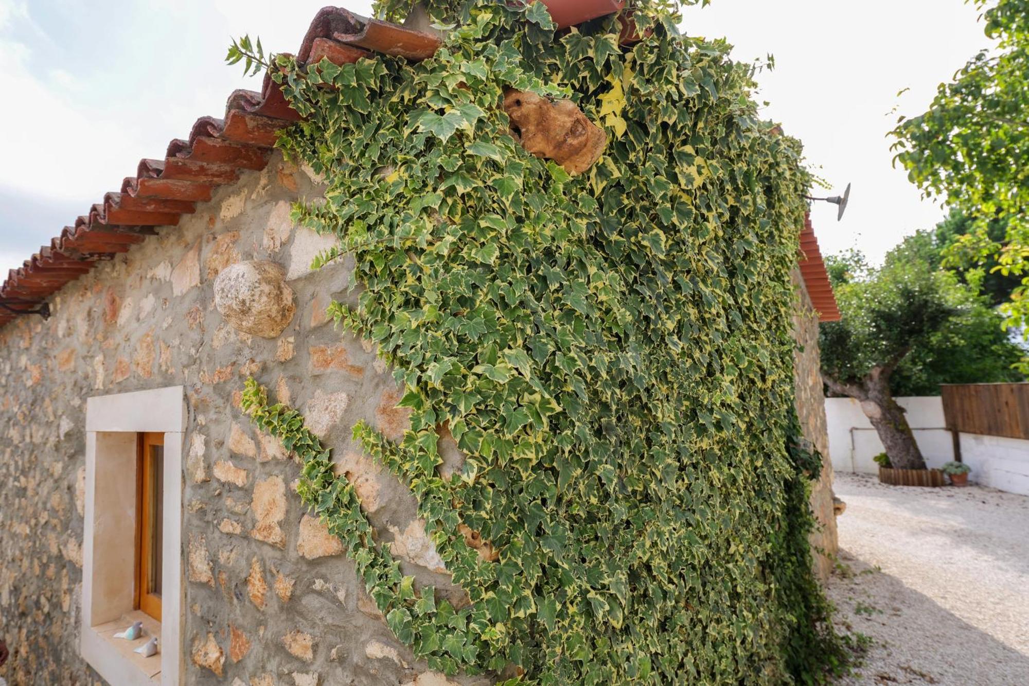 Renovated Wine Press House - With Pool Villa Porto de Mós Exteriör bild